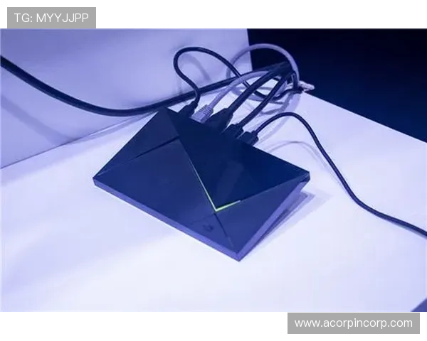 全面解析ku娱乐真人游戏的安全性与公平性保障措施，放心畅玩每一局
